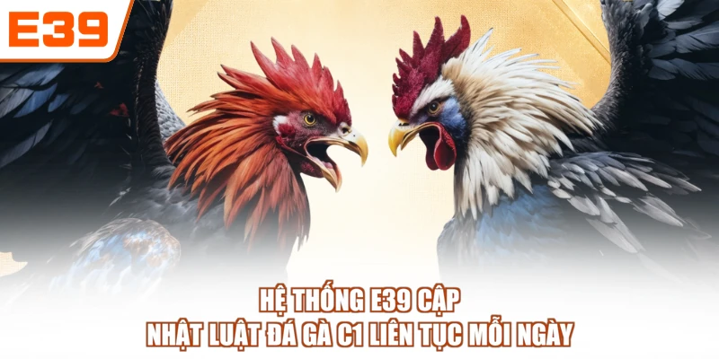Hệ thống E39 cập nhật luật đá gà C1 liên tục mỗi ngày