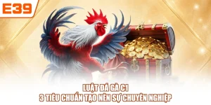 Luật Đá Gà C1 - 3 Tiêu Chuẩn Tạo Nên Sự Chuyên Nghiệp